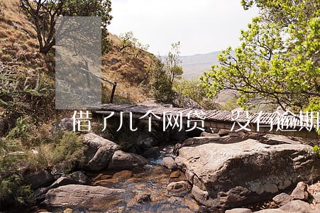借了几个网贷 没有逾期 借了几个网贷 没有逾期